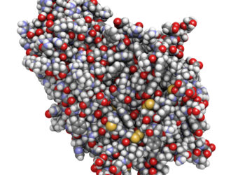 Lizosomų kaupimo ligos