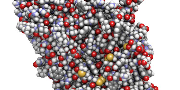 Lizosomų kaupimo ligos