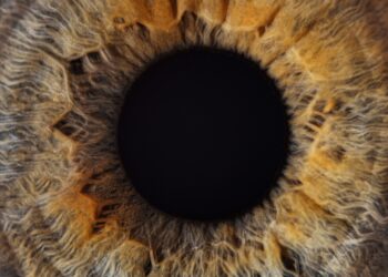 Parinaudo akies liaukų sindromas: kas tai, priežastys ir simptomai