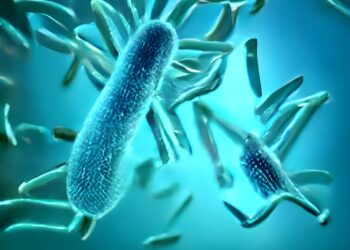 Listeriozė nėštumo metu: priežastys, simptomai ir gydymas