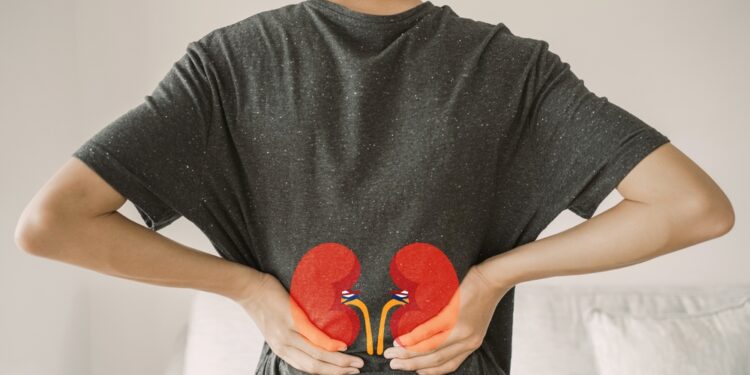 Inkstų navikas: priežastys, simptomai, diagnostika ir gydymas