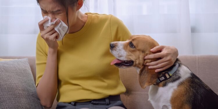 Alergija augintiniams: priežastys, simptomai, gydymas ir prevencija