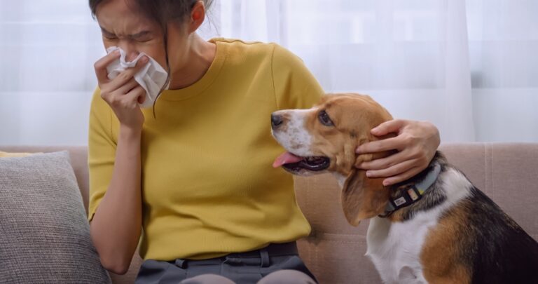 Alergija augintiniams: priežastys, simptomai, gydymas ir prevencija