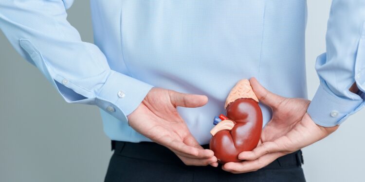 Hepatorenalinio sindromo (HRS) diagnostika, gydymas ir simptomai