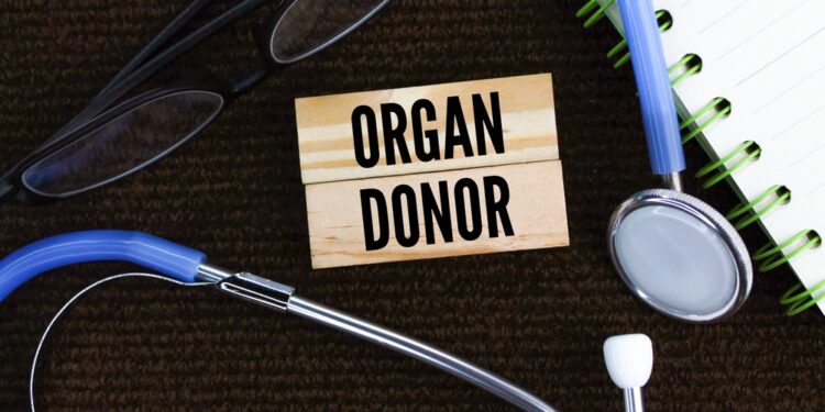 Persodinto audinio ir recipiento reakcijos liga