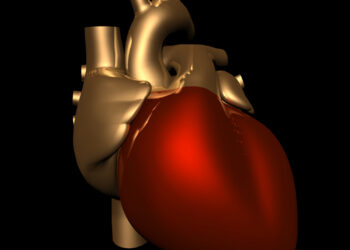 Perikardas: sandara ir funkcijos