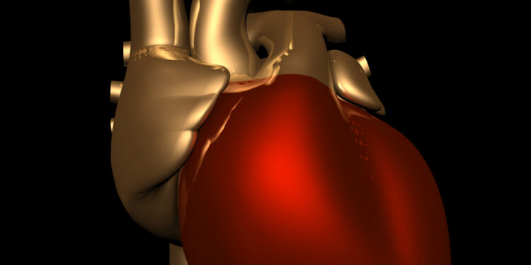 Perikardas: sandara ir funkcijos