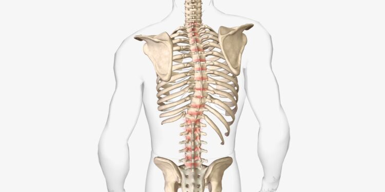 Marfano sindromas: kaip jis veikia širdį