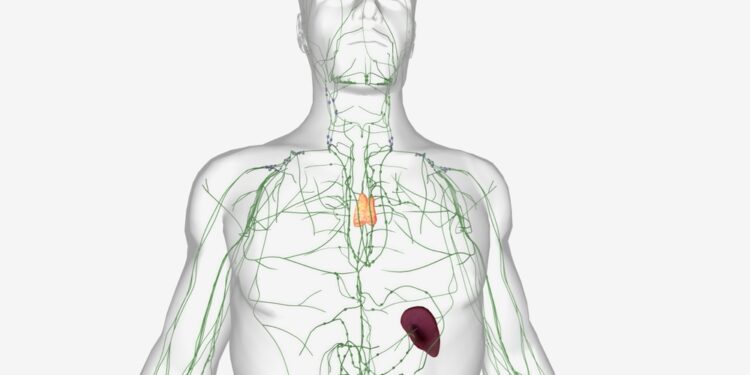 Mantijos zonos limfoma: simptomai, gydymas ir prognozė