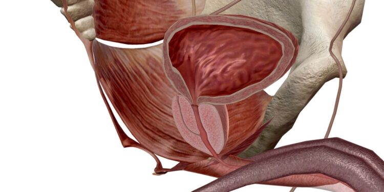 Vidurinio lanko raiščio sindromas (MALS): simptomai ir diagnostika