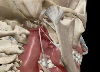 Mastoiditas: simptomai, priežastys ir gydymas