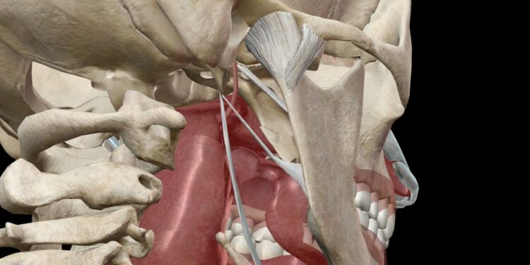 Mastoiditas: simptomai, priežastys ir gydymas