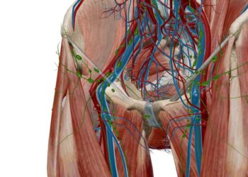 Kirkšnies limfmazgiai