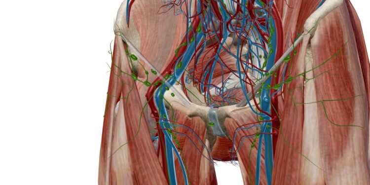 Kirkšnies limfmazgiai