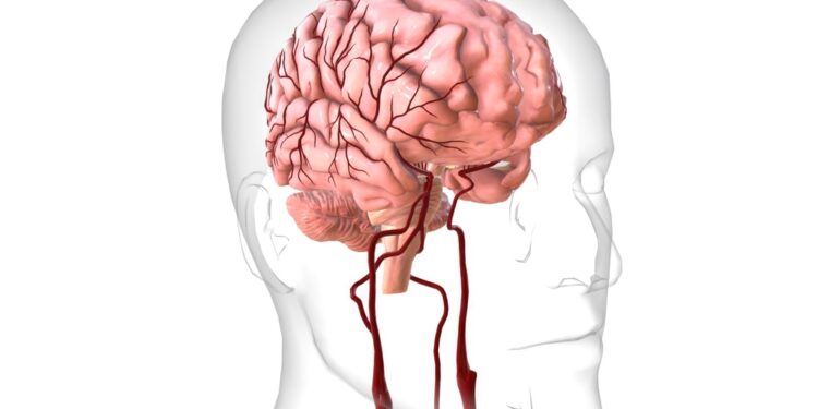 Didelės grėsmės glijoma: simptomai, apibrėžtis ir prognozė