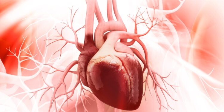 Širdies persodinimo atmetimas: simptomai ir jų reikšmė