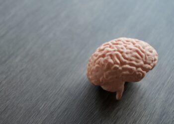 Lizencefalija („lygios smegenys“): kas tai, priežastys ir simptomai