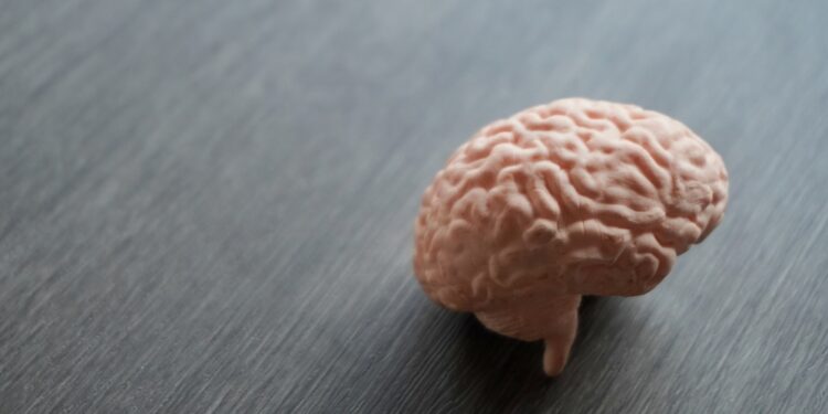 Lizencefalija („lygios smegenys“): kas tai, priežastys ir simptomai