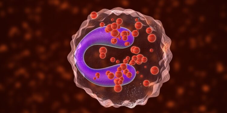 Mastocitozė: tipai, simptomai ir gydymas