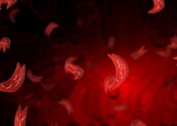 Normocitinė anemija: kas tai, priežastys ir simptomai