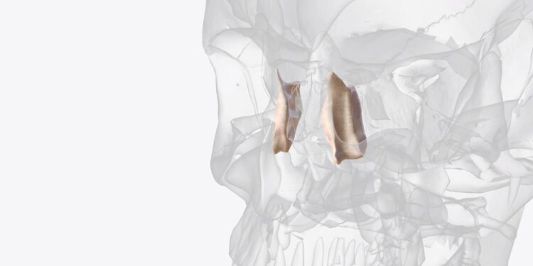 Akiduobės lūžiai: priežastys, simptomai ir gydymas