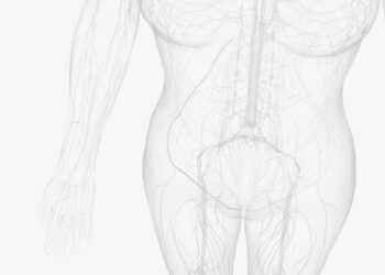 Iliokirkšninis nervas