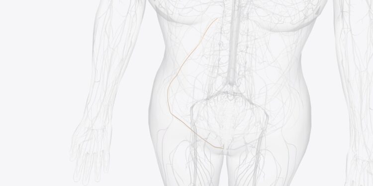 Iliokirkšninis nervas