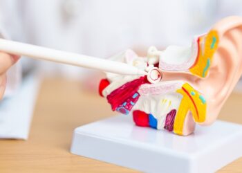 Eustachijaus vamzdelis