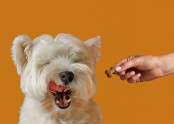 Alkanių kaulų sindromas: priežastys, simptomai ir gydymas