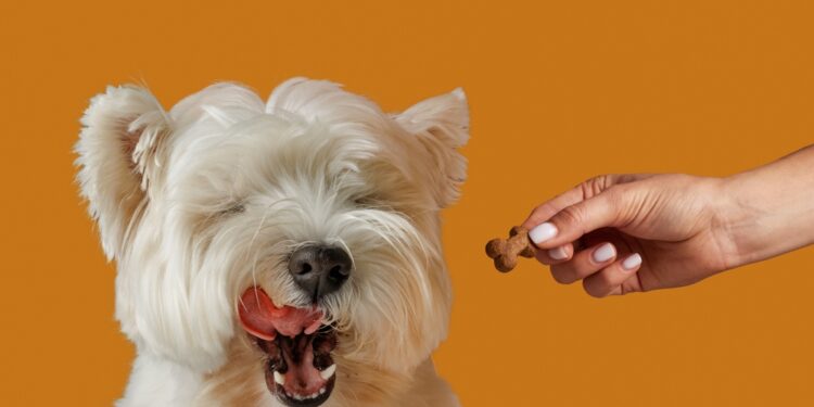 Alkanių kaulų sindromas: priežastys, simptomai ir gydymas