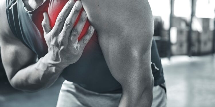 Didysis krūtinės raumuo