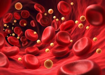 Makrocitinė mažakraujystė: priežastys, simptomai, tipai ir gydymas