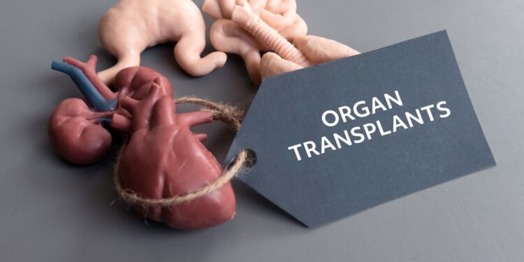 Inksto persodinimo atmetimas: priežastys ir gydymas