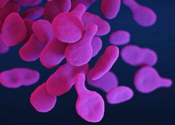 Mycoplasma genitalium