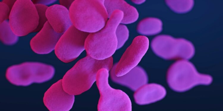 Mycoplasma genitalium