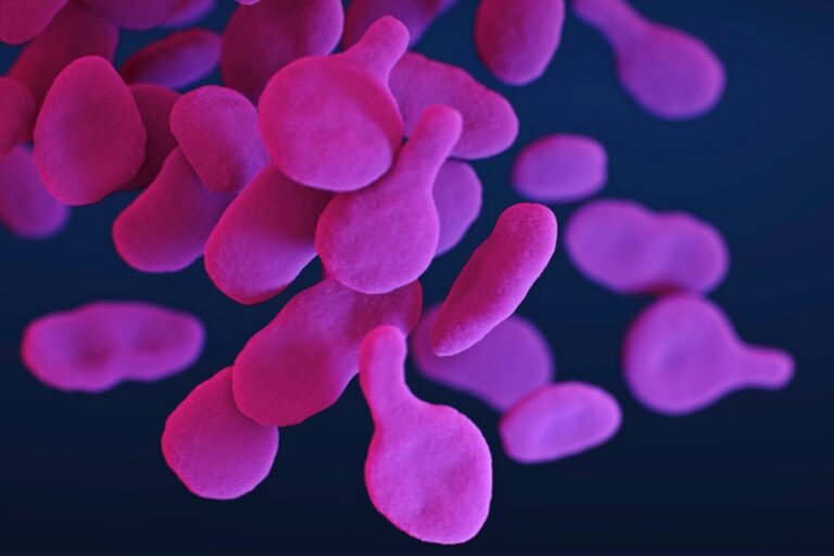 Mycoplasma genitalium