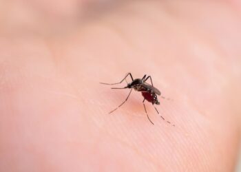 Mikrocefalija: simptomai, priežastys ir prognozė