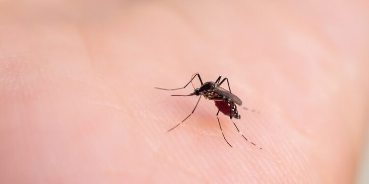 Mikrocefalija: simptomai, priežastys ir prognozė