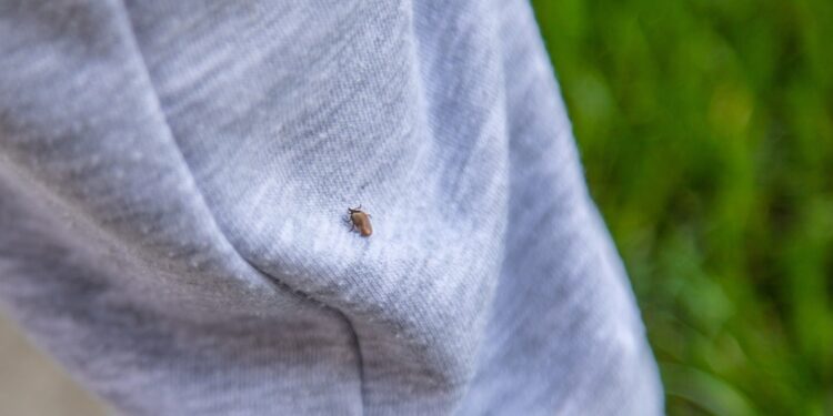 Meningoencefalitas: kas tai, simptomai ir gydymas