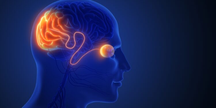 Regos nervo hipoplazija (ONH): simptomai ir gydymas