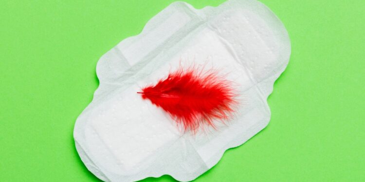 Mėnesinių pradžia (menarchė): bendroji apžvalga, amžius ir ko tikėtis