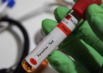 Parvovirusas B19: infekcija, priežastys, simptomai ir gydymas