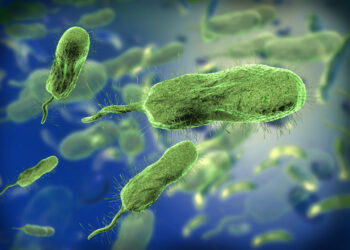 Pirties baseinų folikulitas: bėrimas, simptomai, priežastys ir gydymas