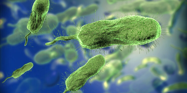 Pirties baseinų folikulitas: bėrimas, simptomai, priežastys ir gydymas