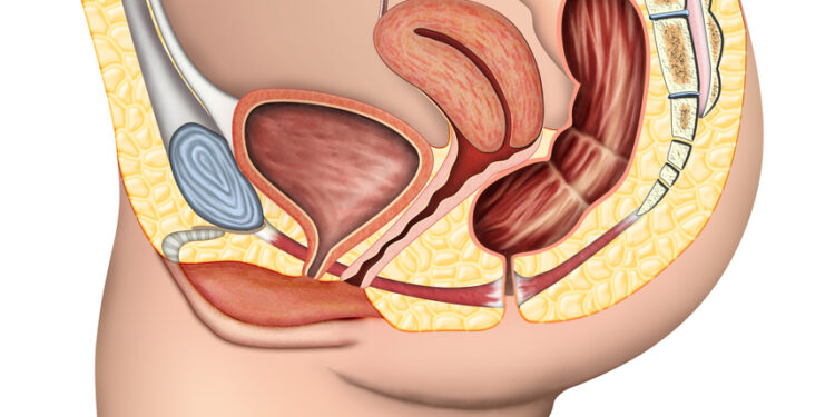 Dubens dugno funkcijos sutrikimas: kas tai, simptomai ir gydymas