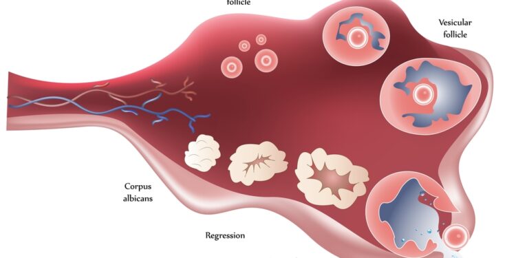 Hurtle ląstelių karcinoma: simptomai, priežastys ir gydymas