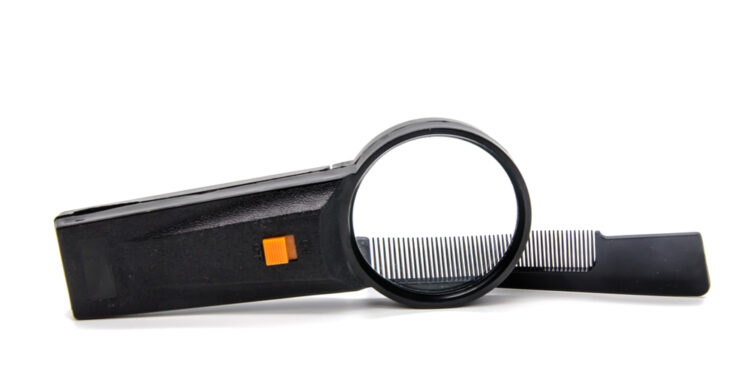 Negydomos utėlių epidemijos pavojai