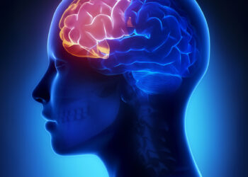 Kaktinė skiltis: ką verta žinoti