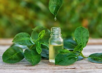 Arbatmedžio aliejus: pagalba sergantiems psoriaze?