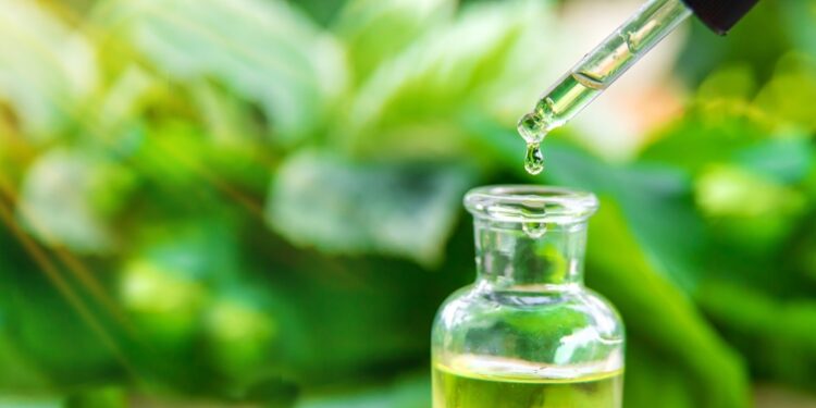 Arbatmedžių aliejus: žvynelinės gydytojas?